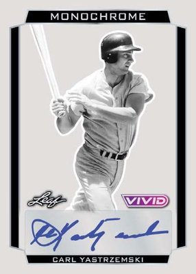 Base Set — 2025 Leaf Vivid Baseball