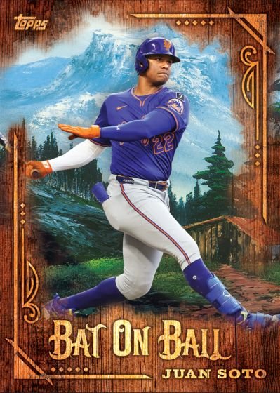 Juan Soto #1