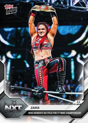 February 2026 — 2026 Topps Now WWE