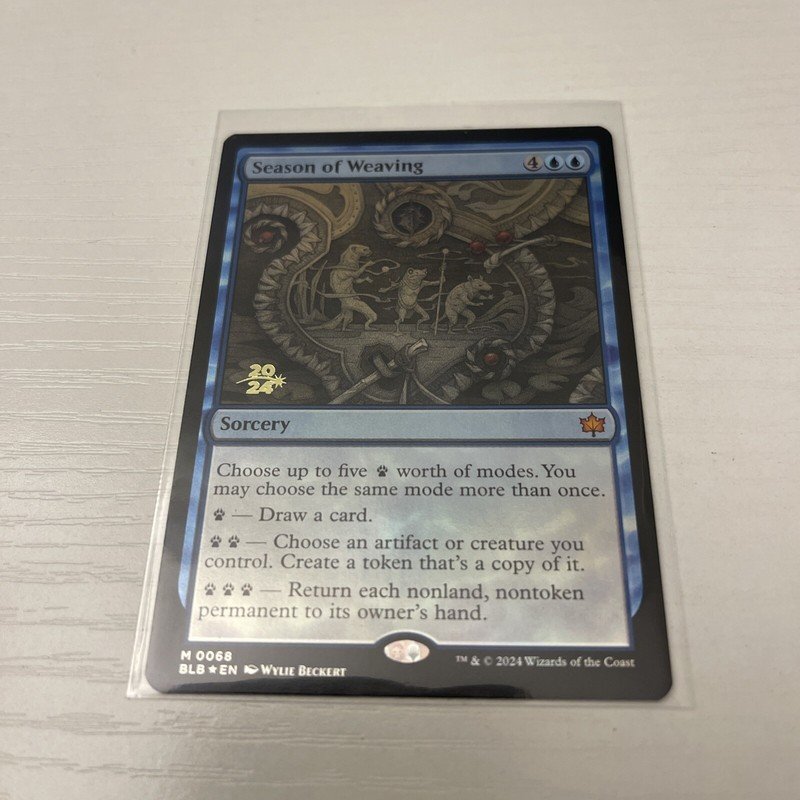 Best Bloomburrow MTG Cards Under $25 (2026 Budget Guide)